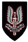 SAS Cloth Beret Badge
